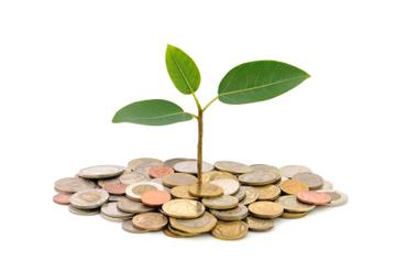 Scholarship Funding Organizations