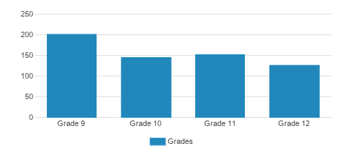 Brother Rice High School Student By Grade 