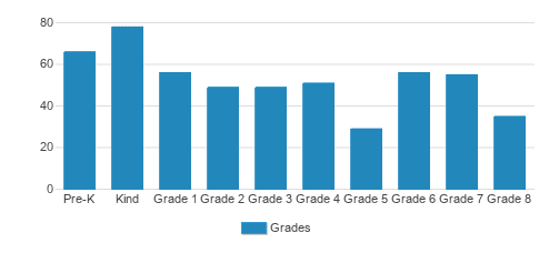Bas Mikroh Girls School Student By Grade 