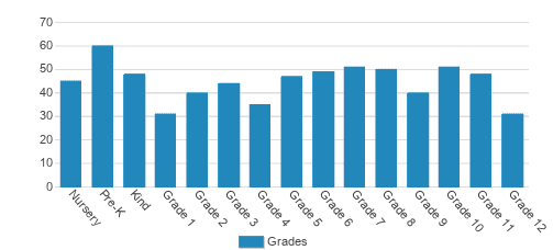 Oakwood Student By Grade 
