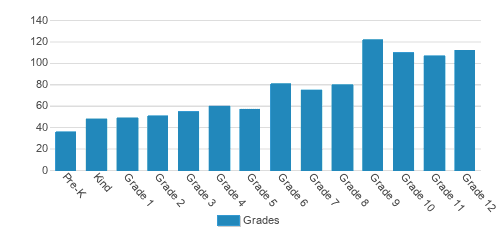 Colorado Academy Student By Grade 