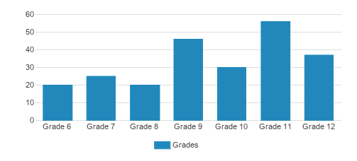 Einstein School Student By Grade 