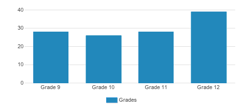 The Academy at Penguin Hall Student By Grade 
