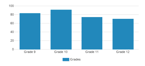 Depaul Cristo Rey High School Student By Grade 