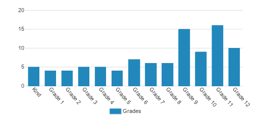 Traveling TutorZ Innovative Learning Center Student By Grade 