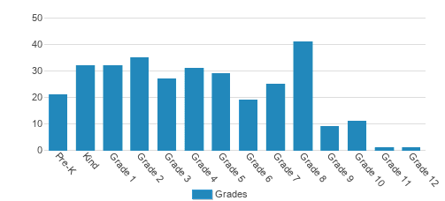 Hills Academy Student By Grade 