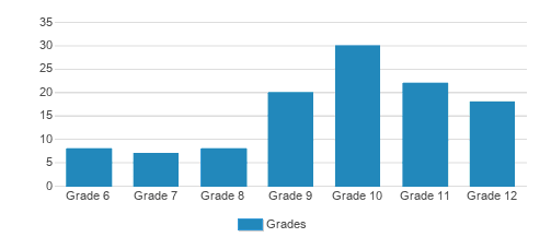 Achievement Center (the) Student By Grade 