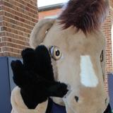 St. Mary Catholic School Photo #8 - Mighty the Mustang!