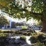 The Gregory School Photo #2 - Located on 35 acres, The Gregory School campus provides plenty of space to learn, meet, think, and play. Students and a biology teacher built this riparian area.