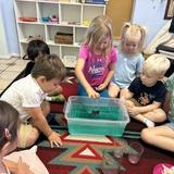 Desert Sky Montessori Photo #1