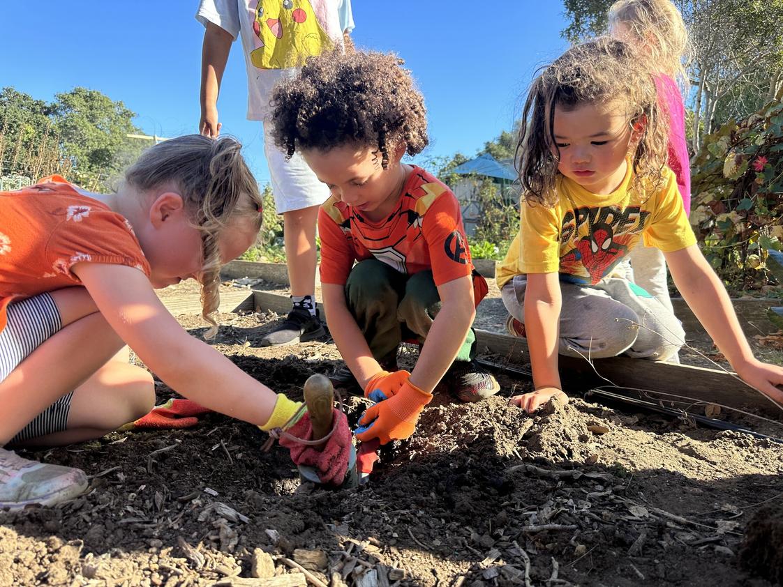Spring Hill School Photo #1 - Kindergarten working in the garden. With hands on learning and plan, students can integrate their new understanding of the world.
