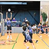 Apostles Lutheran Schools (TK-12) Photo #13 - Men's Volleyball - Apostles Lutheran High School