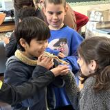 Black Pine Circle School Photo #6 - 4th Graders Getting Up Close with Our Snake