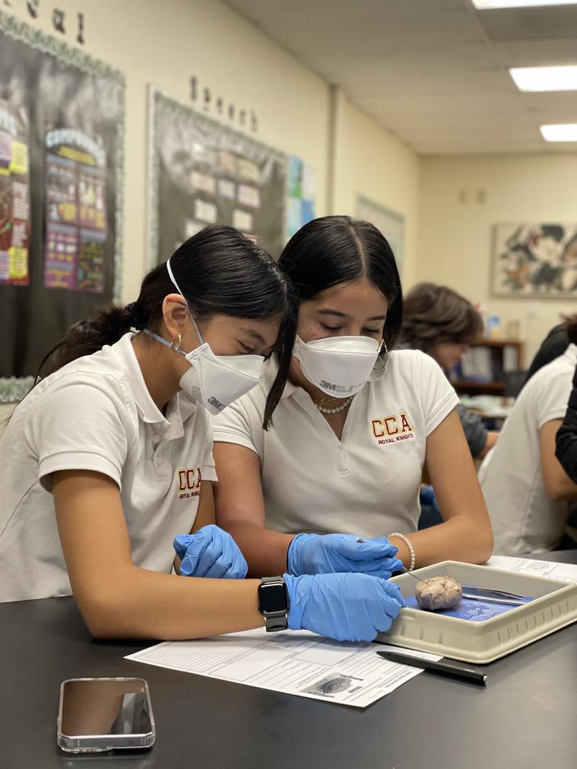 Calvary Christian Academy Photo - Middle school science is all about curiosity, discovery, and hands-on learning. From experiments to exploration, our students are building critical thinking skills while gaining a deeper appreciation for the world God created.