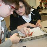 St. Albert Catholic Photo #6 - Saint Albert gives its students an outstanding college preparatory education by offering 15 college credit and advanced placement courses.