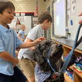 Villa Madonna Academy Photo #9 - Our therapy dog, Corie, enjoys greeting students in the morning, reading with them, and building school spirit!