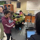 Walden School Photo #2 - High School Plant Science