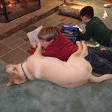Riley School Photo #3 - Middle School child reading to Dudley (lab) in front of the fireplace on a cold winter day.