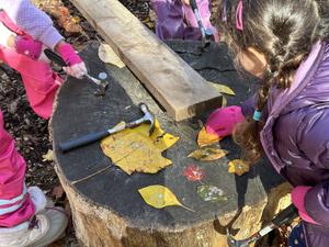 Acorn Hill Waldorf Kindergarten & Nursery Photo