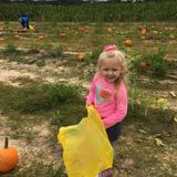 Creative Garden Nursery School & Kindergarten Photo #9 - Pumpkin patch.