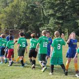 Friends Meeting School Photo #4 - The FMS Falcons play friendly athletics (Grades 5-12) with several area schools - in soccer, cross-country, basketball, and track & field.