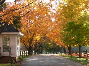Garrison Forest School Photo