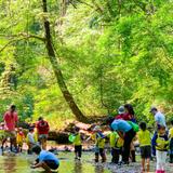 Geneva Day School Photo - Our Maryland Green School grounds invite constant discovery. . . Including at our nearby creek!