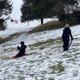 Mater Amoris Montessori School Photo #10