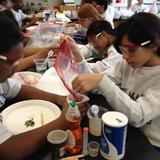 St. Mary's School Photo - Discovering DNA with strawberries