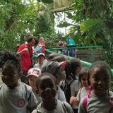 The Academy Of Saint Matthias The Apostle Photo #3 - Pre-K visits the National Zoo in DC.