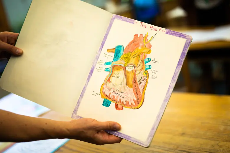 Waldorf School Of Baltimore Photo #2