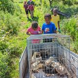 Washington New Church School Photo #7 - 1st & 2nd grades raise ducklings and a goose to release into the local forest garden - forested.us