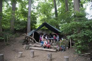 Washington Waldorf School Photo