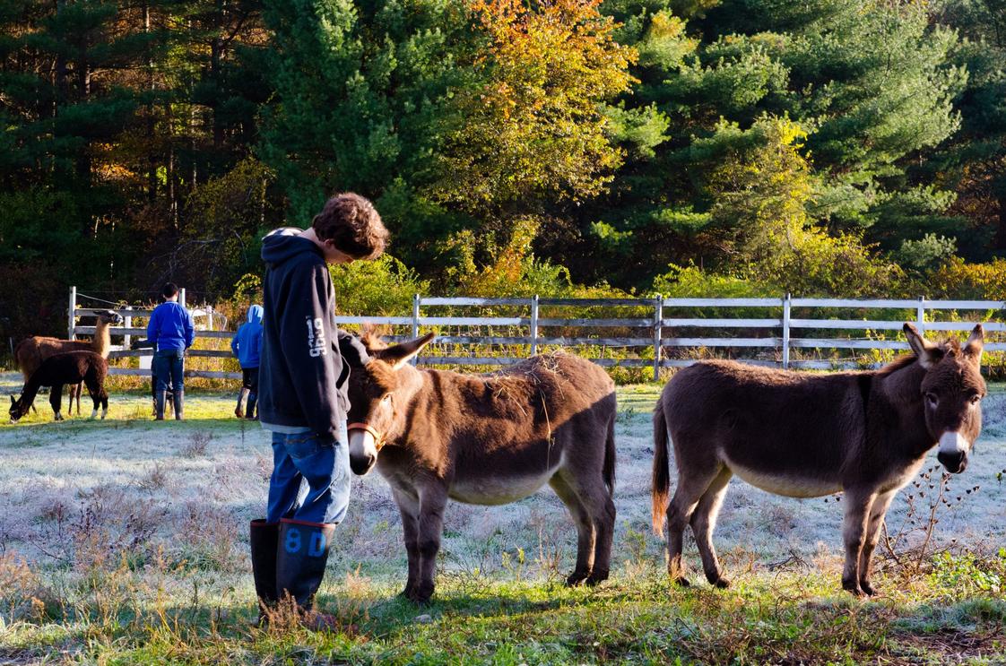 Hillside School (2023-24 Profile) - Marlborough, MA