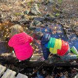 King's Wood Montessori School Photo #2 - Exploring nature's classroom: Our kindergarteners enjoy a peaceful walk in the woods, discovering the beauty of the changing seasons and the world around them