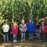Mullein Hill Christian Academy Photo - Each fall elementary students enjoy a visit to a local farm where they walk the corn maze, go on rides, and pick pumpkins.