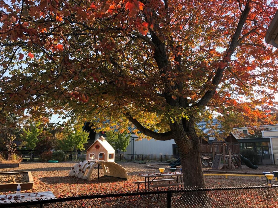 Oak Meadow Montessori School Photo #1 - Children's House playground (ages 3-6). Children love having multiple recesses daily and enjoy the playground and gardens year-round. The children participated in a research project to learn about playgrounds; they presented their research and desire for a playhouse to members of our adult community. They learned skills of planning, research, public speaking, and so much more!