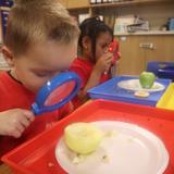 Sacred Heart Elementary School Photo #6 - Preschool students learning all about apples