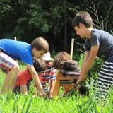 Waldorf School of Lexington Photo #9 - With a campus abutting 185 acres of conservation land, nature walks and gardening are an ongoing part of the WSL curriculum. These activities provide a hands-on foundation for WSL's engaging science curriculum, which is based on direct observation and experimentation.