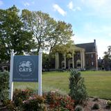 Cats Academy Photo