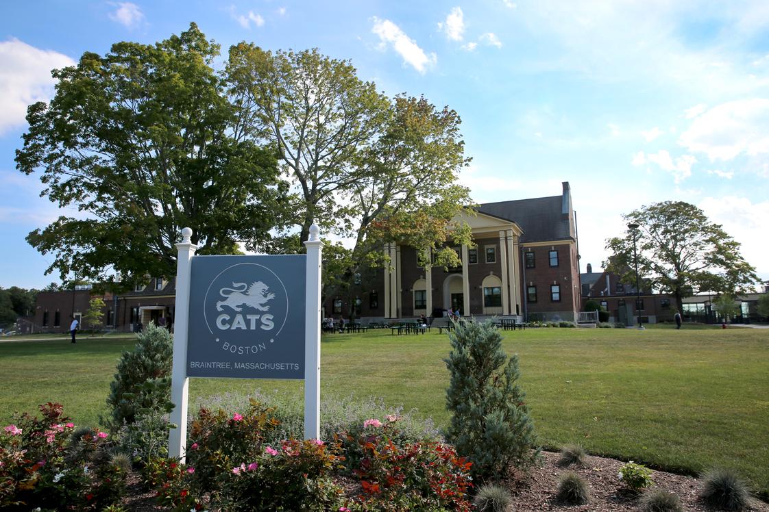 Cats Academy Boston Photo