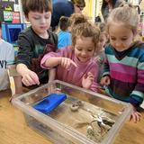 Whitinsville Christian School Photo #3 - We value hands-on learning, beginning with our youngest students at Stepping Stone Preschool. With a variety of options for 3 and 4-year olds, these young explorers learn to explore God's world with a sense of wonder and excitement.