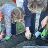 Christian Montessori School Of Ann Arbor Photo #3 - Elementary gardening.