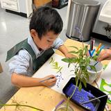 Christian Montessori School Of Ann Arbor Photo