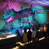 Cranbrook Schools Photo #8