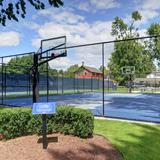 The Grosse Pointe Academy Photo #25 - GPA's sports facilities includes tennis/pickleball, basketball, and volleyball courts as well as lacrosse, soccer, and cross-country fields.