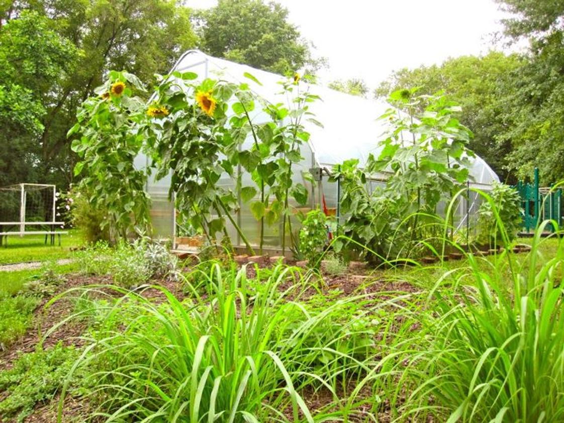 Montessori Radmoor School Photo #1 - Student-run greenhouse, whihc includes a vegetable, herb and native garden area.