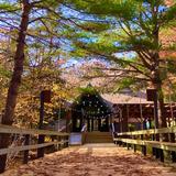 The Leelanau School Photo - Boardwalk to the Student Center