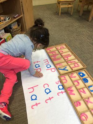 Miniapple International Montessori Photo