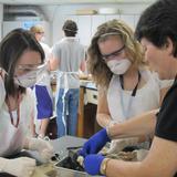 New Covenant Academy Photo - Academic Excellence from start to finish including dual credit courses in high school. This picture is a dual credit Anatomy and Physiology class.